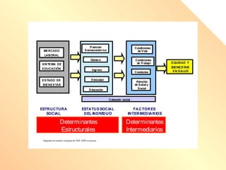 MERCADO
LABORAL
SISTEMA DE
EDUCACIÓN
ESTADO DE
BIENESTAR
ESTRUCTURA
SOCIAL
Posición
Socioeconómica
Género
Ingreso
ESTATUSSOCIAL
DEL INDIVIDUO
FACTORES
INTERMEDIARIOS
Condiciones
de Vida
Condiciones
de Trabajo
Conductas
Atención
de Saludy
Social
EQUIDAD Y
BIENESTAR
EN SALUD
Ref: M odified of Briefi
ng pa
per Heal
th in
equa
liti
es :c oncepts,
fram ework s and poli
c y a
utho
rs H. Graham , M P. Kel
ly 200
4, NHS
.
Determinantes
Intermediarios
Determinantes
Estructurales
Etnicidad
Educación
Cohesión social
Adaptado de modelo coneptual de DSS. OMS en prensa.
 