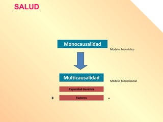 SALUD
Monocausalidad
Multicausalidad
Capacidad Genética
+ -
Factores
Modelo biomédico
Modelo biosicosocial
 
