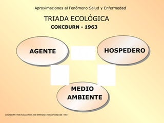 COCKBURN. THE EVALUATION AND ERRADICATION OF DISEASE. 1963
AGENTE HOSPEDERO
MEDIO
AMBIENTE
Aproximaciones al Fenómeno Salud y Enfermedad
TRIADA ECOLÓGICA
COKCBURN - 1963
 