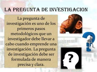 LA PREGUNTA DE INVESTIGACION
       La pregunta de
 investigación es uno de los
       primeros pasos
    metodológicos que un
  investigador debe llevar a
cabo cuando emprende una
 investigación. La pregunta
  de investigación debe ser
    formulada de manera
       precisa y clara.
 