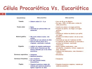 Célula Procariótica Vs. Eucariótica 
8 
Características Célula procariótica Célula eucariótica 
Tamanho · Diâmetro médio 0,5 – 5 mm · Cerca de 40 mm de diâmetro. 
· Em regra, 1000 a 10 000 vezes o volume da 
célula procariótica. 
Parede celular · Rígida. 
· Constituída por polissacarídeos com 
aminoácidos. 
· Ausente nos animais e em alguns protistas. 
· Presente nas plantas, nos fungos e em alguns 
protistas. 
· Rígida. 
· Formada por celulose nas plantas e por quitina 
nos fungos. 
Material genético · Não existe invólucro nuclear, nem 
nucléolo. 
· Constituído por uma molécula de DNA. 
· Está em contacto direto com o 
citoplasma, constituindo o nucleoide. 
· Existência de invólucro nuclear e de um ou mais 
nucléolos. 
· Constituído por mais de 2 moléculas de DNA. 
· As moléculas de DNA encontram-se associadas a 
proteínas (as histonas), constituindo 
cromossomas. 
Organelos · Ausência de organelos membranares. 
· Contêm muitos ribossomas que têm 
menores dimensões que os das células 
eucarióticas. 
· Muitos organelos membranares, como 
mitocôndrias, cloroplastos, retículo, complexo de 
Golgi, lisossomas… 
· Organelos não membranares, como ribossomas e 
centríolos. 
Estruturas respiratórias · Hialoplasma 
· Membrana plasmática. 
· Mitocôndrias. 
Estruturas Fotossíntese · Sem cloroplastos. 
· Por vezes possuem lamelas 
fotossintéticas. 
· Cloroplastos. 
Flagelos · Organelos locomotores simples não 
rodeados pela membrana plasmática, 
ligados à superfície da célula. 
· Organelos locomotores complexos, rodeados por 
membrana plasmática. 

