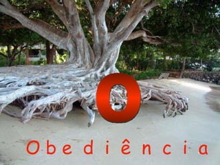 O b e  d  i  ê  n  c  i  a O 