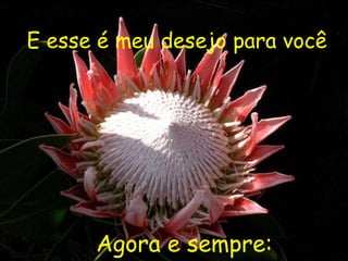 E esse é meu desejo para você   Agora e sempre: 