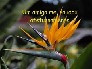 Um amigo me  saudou afetuosamente 