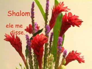 Shalom   ele me  disse. 