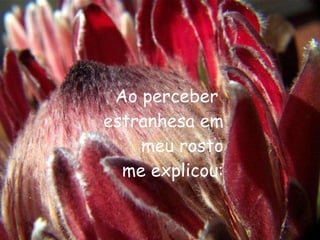 Ao perceber  estranhesa em meu rosto  me explicou: 