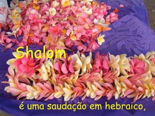 é uma saudação em hebraico, Shalom, 