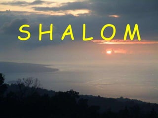 S H A L O M 
