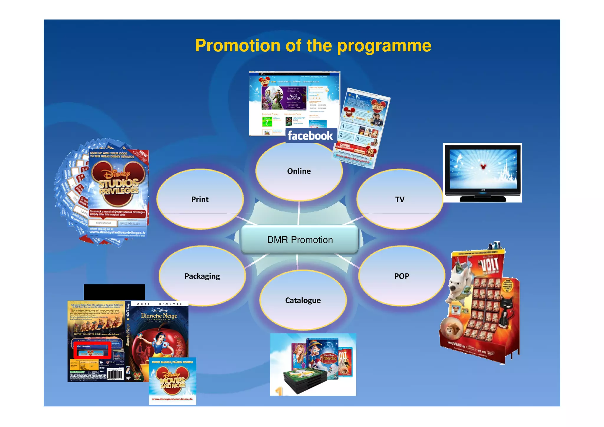 Promotion of the programme




                                Online


                  Print                      TV



                             DMR Promotion


                 Packaging                   POP
Recall on-pack
                                Catalogue
 
