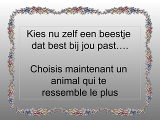 Kies nu zelf een beestje  dat best bij jou past…. Choisis maintenant un  animal qui te  ressemble le plus 