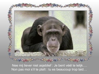 Nee mij liever niet asjeblief : Je bent véél te lelijk…. Non pas moi s’il te plaît : tu es beaucoup trop laid…   