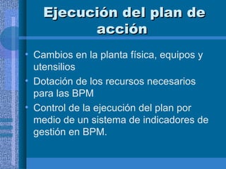Ejecución del plan de acción  Cambios en la planta física, equipos y utensilios Dotación de los recursos necesarios para las BPM Control de la ejecución del plan por medio de un sistema de indicadores de gestión en BPM. 