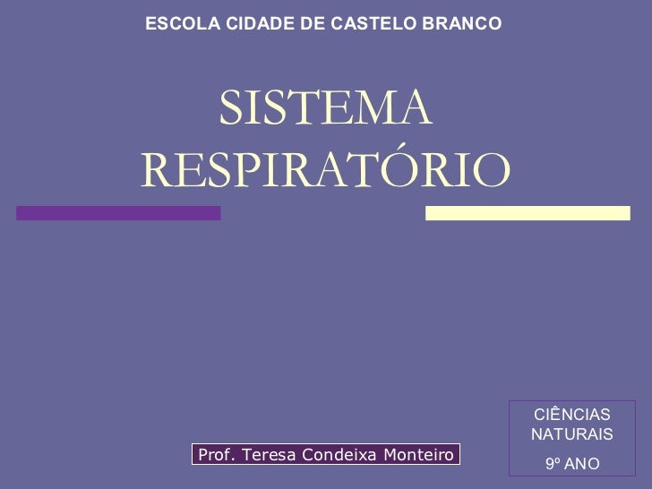 SISTEMA RESPIRATÓRIO ESCOLA CIDADE DE CASTELO BRANCO CIÊNCIAS NATURAIS 9º ANO Prof. Teresa Condeixa Monteiro 
