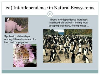 6A Walk in the Meadow (or the Woods)…The Stewardship Principles were co-discovered, over and over again, by students, faculty, farmers, foresters, and others through direct immersion in, and observations and reflections about, 	natural eco-systems,from wetlands to woodlands.