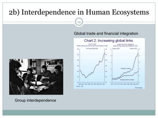 7For the BIRDS…Stewardship PrinciplesBalanceInterdependenceRegenerationDiversitySuccesion