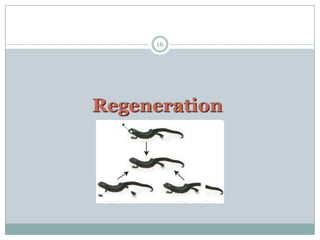 91a) Balance In Natural EcosystemsHealthy ecosystems balanceinputs = outputsGlobal climate change represents animbalance in our planet’s ecosystem