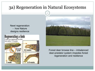 101b) Balance In Human EcosystemsAt the individual level…balancing prioritiesAt the organizational level…balancing assets and liabilities