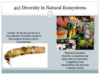 142b) Interdependence in Human EcosystemsGlobal trade and financial integrationGroup interdependence