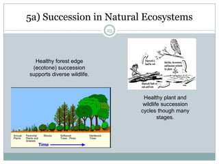 183b) Regeneration in Human EcosystemsHuman regeneration takes many forms to maintain health and happiness…Organizational regeneration likewise sometimes requires moving out of our comfort zones to renew our human bonds and teamwork.