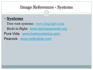 265b) Succession in Human EcosystemsFamily succession reminds us about our legacy.In communities and organizations, we experience succession through the cycle of human talent.