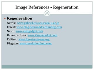 29Designing a Resilient FutureLiving systems co-create and co-contribute to their habitats as resilient eco-systems.Humans enjoy the capacity to design the future.