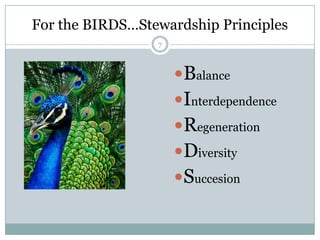 Equifinality (achieving same end from different starting points)