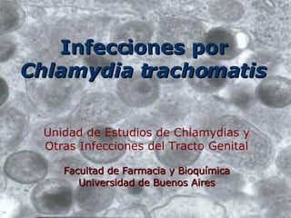 Infecciones por  Chlamydia trachomatis Unidad de Estudios de Chlamydias y Otras Infecciones del Tracto Genital Facultad de Farmacia y Bioquímica Universidad de Buenos Aires 