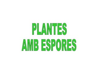 PLANTES AMB ESPORES