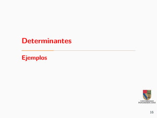 Determinantes
Ejemplos
16
 