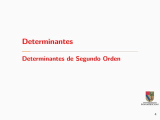 Determinantes
Determinantes de Segundo Orden
4
 