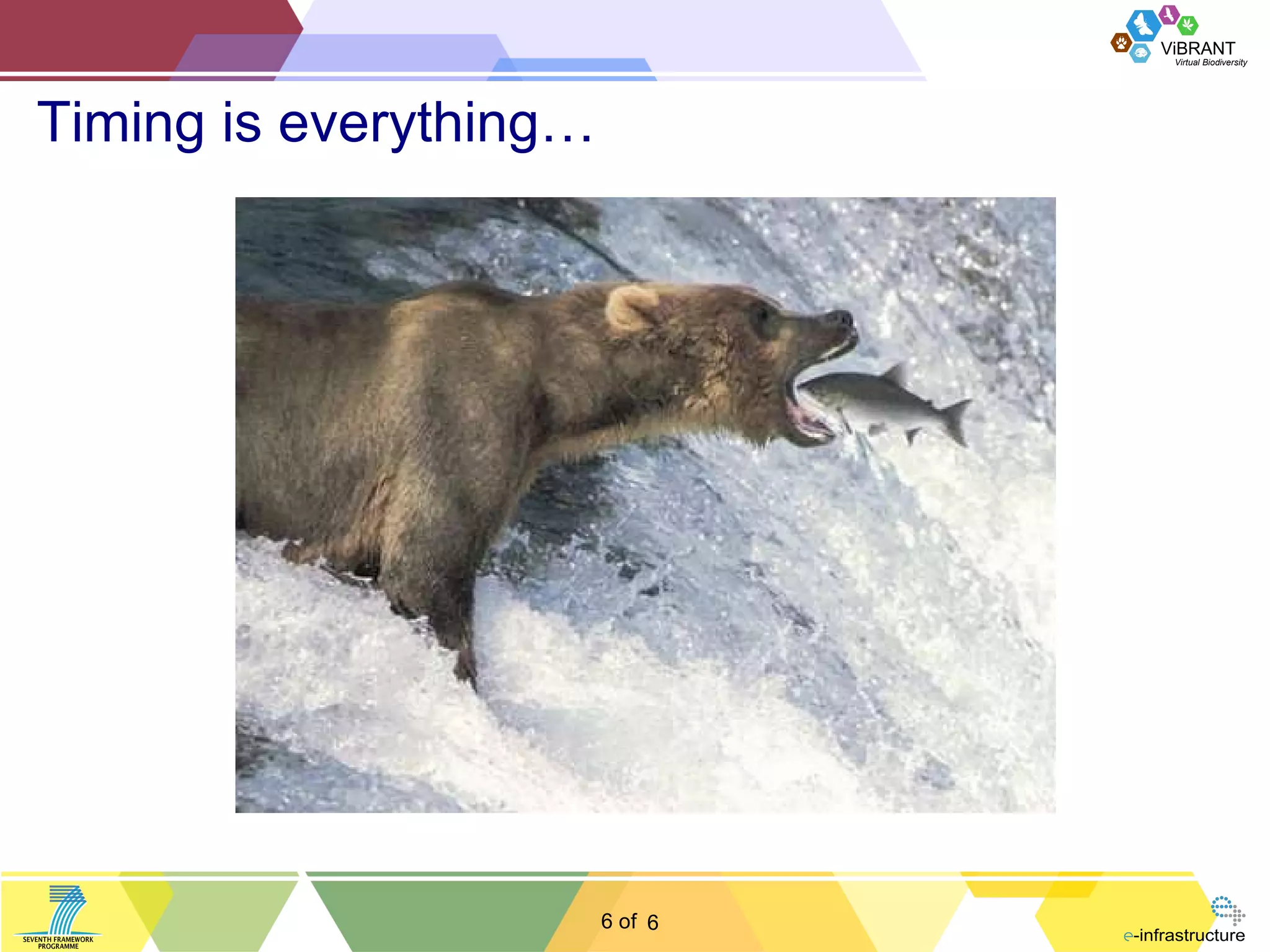 Timing is everything… 6 