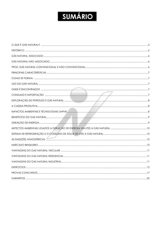 SUMÁRIO
O QUE É GÁS NATURAL? .....................................................................................................................................................................5
HISTÓRICO ..............................................................................................................................................................................................5
GÁS NATURAL ASSOCIADO.................................................................................................................................................................6
GÁS NATURAL NÃO ASSOCIADO .......................................................................................................................................................6
TIPOS: GÁS NATURAL CONVENCIONAL E NÃO CONVENCIONAL................................................................................................6
PRINCIPAIS CARACTERÍSTICAS ............................................................................................................................................................7
COMO SE FORMA. ...............................................................................................................................................................................7
USO DO GÁS NATURAL.........................................................................................................................................................................7
ONDE É ENCONTRADO? .....................................................................................................................................................................7
CONSUMO E IMPORTAÇÃO ...............................................................................................................................................................7
EXPLORAÇÃO DE PETRÓLEO E GÁS NATURAL .................................................................................................................................8
A CADEIA PRODUTIVA..........................................................................................................................................................................8
IMPACTOS AMBIENTAIS E TECNOLOGIAS LIMPAS ............................................................................................................................8
BENEFÍCIOS DO GAS NATURAL............................................................................................................................................................9
GERAÇÃO DE ENERGIA........................................................................................................................................................................9
ASPECTOS AMBIENTAIS LIGADOS A GERAÇÃO DE ENERGIA VIA UTES A GÁS NATURAL........................................................10
SISTEMA DE REFRIGERAÇÃO E O CONSUMO DE ÁGUA DE UTES A GÁS NATURAL ..................................................................10
AS EMISSÕES ATMOSFÉRICAS ............................................................................................................................................................10
MERCADO BRASILEIRO.......................................................................................................................................................................10
VANTAGENS DO GAS NATURAL VEICULAR .....................................................................................................................................11
VANTAGENS DO GAS NATURAL RESIDENCIAL................................................................................................................................11
VANTAGENS DO GAS NATURAL INDUSTRIAL...................................................................................................................................11
EXERCÍCIOS ..........................................................................................................................................................................................12
PROVAS CONCURSOS........................................................................................................................................................................17
GABARITOS...........................................................................................................................................................................................22
 