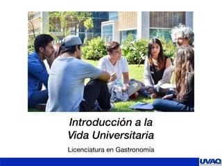 Introducción a la
Vida Universitaria
Licenciatura en Gastronomía
 