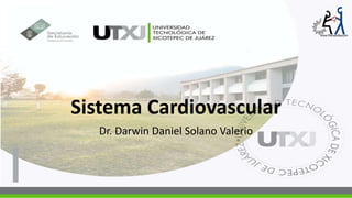 Sistema Cardiovascular
Dr. Darwin Daniel Solano Valerio
 