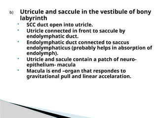 Utricule 00. Anatomy of the ear presentation university of Benin Teaching ...