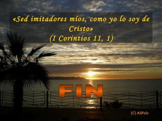 « Sed imitadores míos, como yo lo soy de Cristo» (I Corintios 11, 1) FIN 