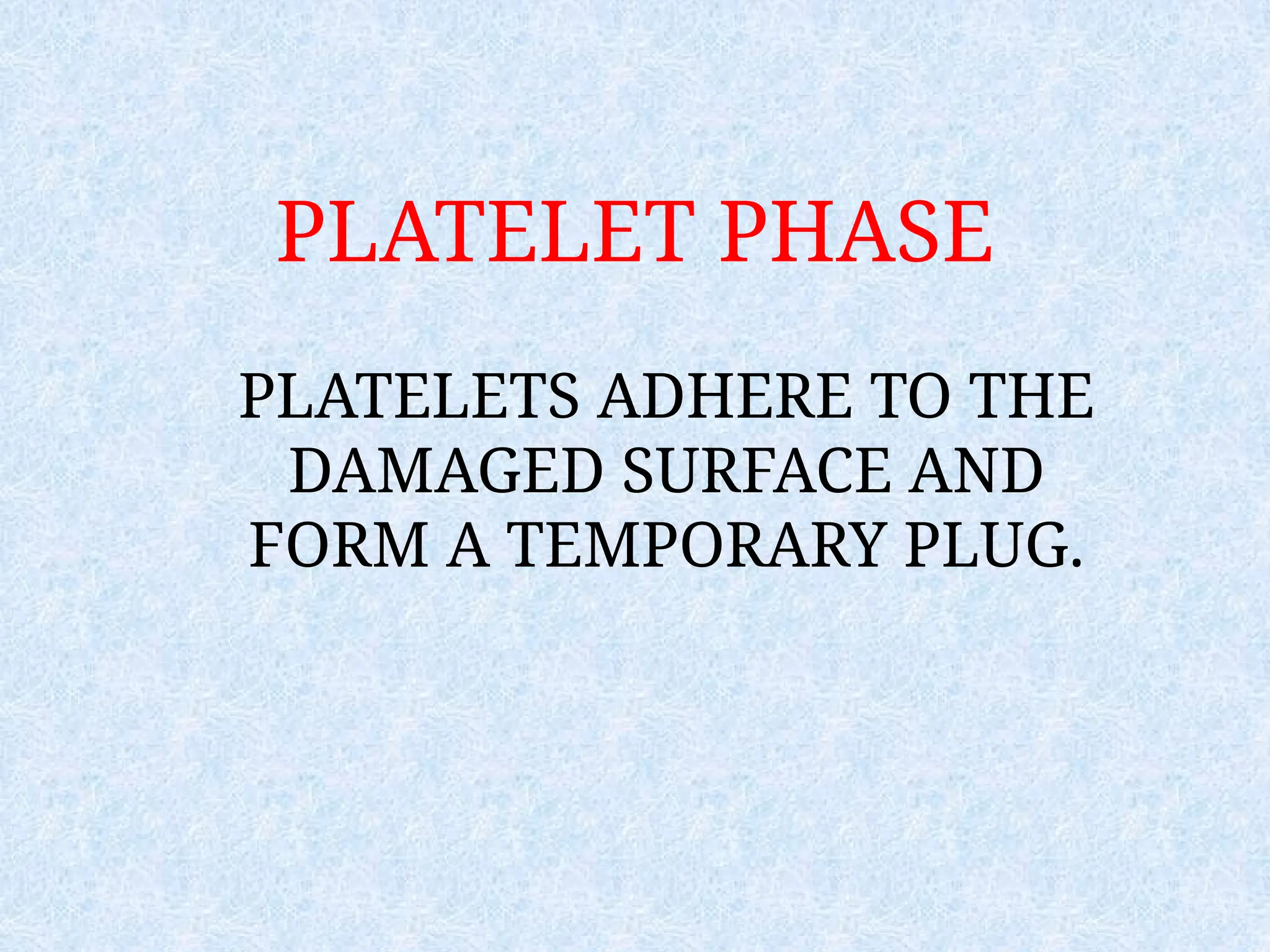 PLATELET PHASE
PLATELETS ADHERE TO THE
DAMAGED SURFACE AND
FORM A TEMPORARY PLUG.
 