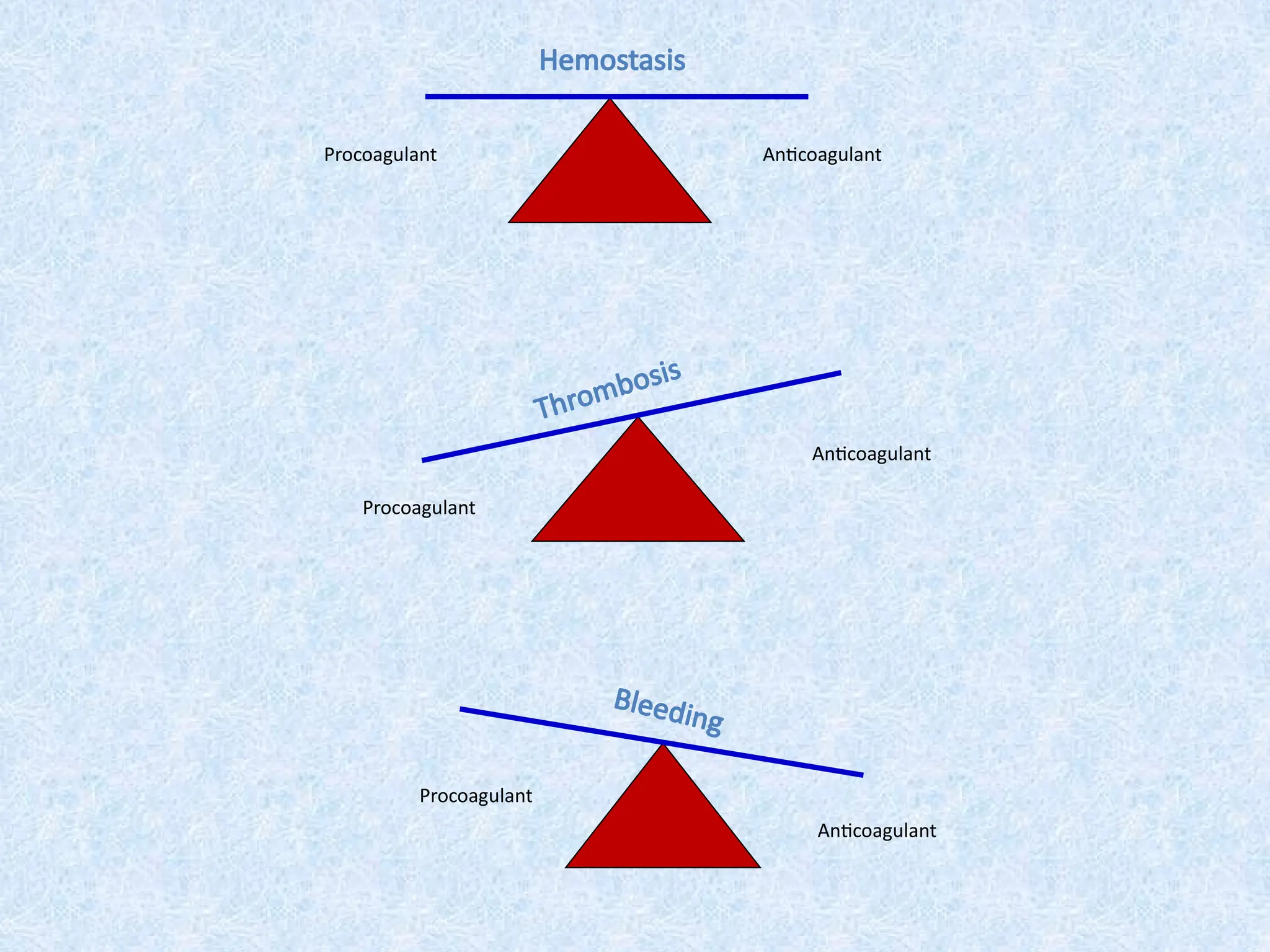 Hemostasis
Anticoagulant
Procoagulant
Thrombosis
Anticoagulant
Procoagulant
Bleeding
Anticoagulant
Procoagulant
 