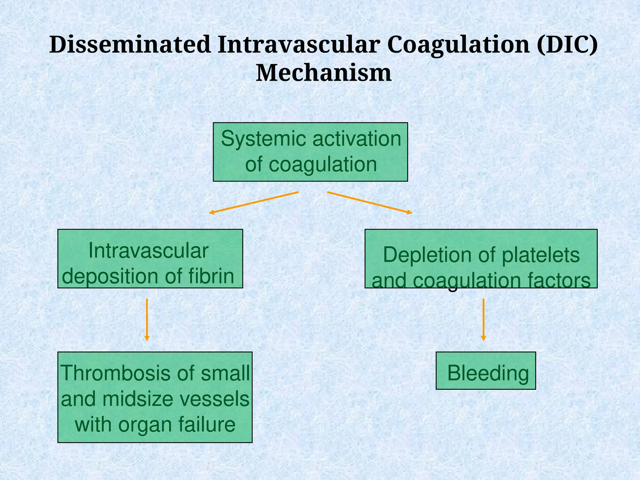 Disseminated Intravascular Coagulation (DIC)
Mechanism
Systemic activation
of coagulation
Intravascular
deposition of fibrin
Depletion of platelets
and coagulation factors
Bleeding
Thrombosis of small
and midsize vessels
with organ failure
 