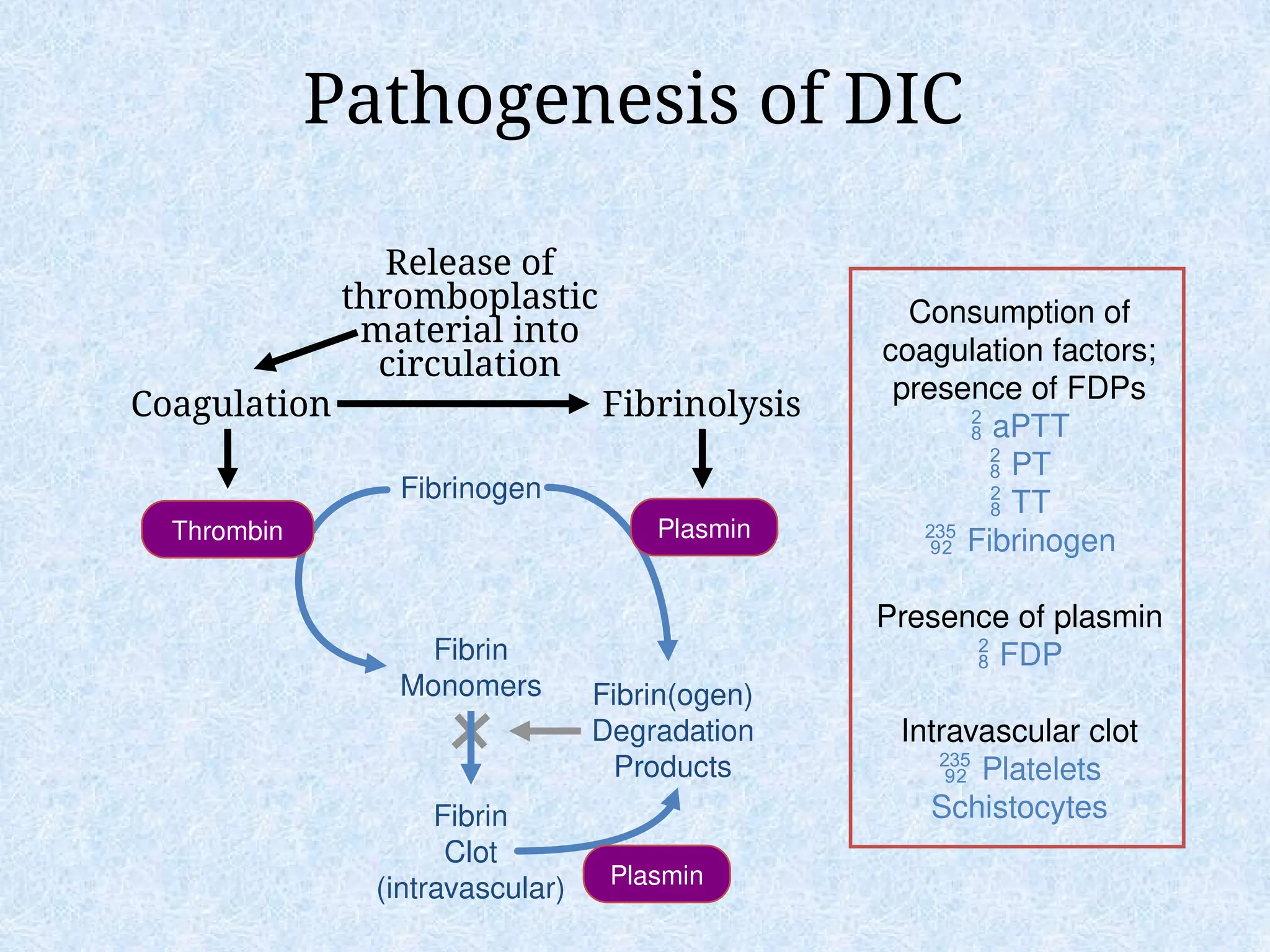 Pathogenesis of DIC
Coagulation Fibrinolysis
Fibrinogen
Fibrin
Monomers
Fibrin
Clot
(intravascular)
Fibrin(ogen)
Degradation
Products
Plasmin
Thrombin Plasmin
Release of
thromboplastic
material into
circulation
Consumption of
coagulation factors;
presence of FDPs
 aPTT
 PT
 TT
 Fibrinogen
Presence of plasmin
 FDP
Intravascular clot
 Platelets
Schistocytes
 