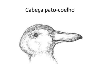 Cabeça pato-coelho 
 
