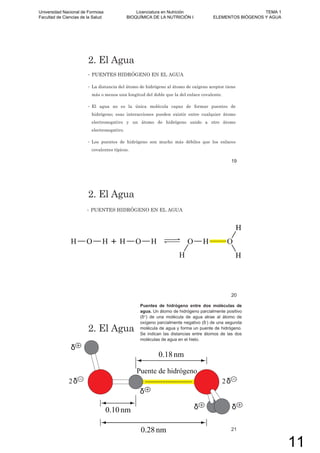 2. El Agua
• PUENTES HIDRÓGENO EN EL AGUA
• La distancia del átomo de hidrógeno al átomo de oxígeno aceptor tiene
más o menos una longitud del doble que la del enlace covalente.
• El agua no es la única molécula capaz de formar puentes de
hidrógeno; esas interacciones pueden existir entre cualquier átomo
electronegativo y un átomo de hidrógeno unido a otro átomo
electronegativo.
• Los puentes de hidrógeno son mucho más débiles que los enlaces
covalentes típicos.
19
2. El Agua
• PUENTES HIDRÓGENO EN EL AGUA
20
2. El Agua
Puentes de hidrógeno entre dos moléculas de
agua. Un átomo de hidrógeno parcialmente positivo
+) de una molécula de agua atrae al átomo de
oxígeno parcialmente negativo -) de una segunda
molécula de agua y forma un puente de hidrógeno.
Se indican las distancias entre átomos de las dos
moléculas de agua en el hielo.
21
Universidad Nacional de Formosa
Facultad de Ciencias de la Salud
Licenciatura en Nutrición
BIOQUÍMICA DE LA NUTRICIÓN I
TEMA 1
ELEMENTOS BIÓGENOS Y AGUA
11
 