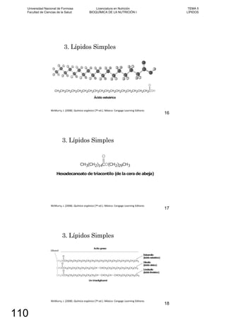 3. Lípidos Simples
16
3. Lípidos Simples
17
3. Lípidos Simples
18
Universidad Nacional de Formosa
Facultad de Ciencias de la Salud
Licenciatura en Nutrición
BIOQUÍMICA DE LA NUTRICIÓN I
TEMA 5
LÍPIDOS
110
 
