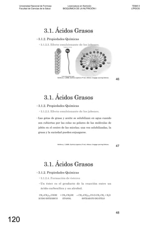 3.1. Ácidos Grasos
3.1.2. Propiedades Químicas
3.1.2.3. Efecto emulsionante de los jabones.
46
3.1. Ácidos Grasos
3.1.2. Propiedades Químicas
3.1.2.3. Efecto emulsionante de los jabones.
Las gotas de grasa y aceite se solubilizan en agua cuando
son cubiertas por las colas no polares de las moléculas de
jabón en el centro de las micelas; una vez solubilizadas, la
grasa y la suciedad pueden enjuagarse.
47
3.1. Ácidos Grasos
3.1.2. Propiedades Químicas
3.1.2.4. Formación de ésteres
Un éster es el producto de la reacción entre un
ácido carboxílico y un alcohol.
CH3-(CH2)16-COOH + CH3-CH2OH CH3-(CH2)16-CO-O-CH2-CH3 + H2O
ÁCIDO ESTEÁRICO ETANOL ESTEARATO DE ETILO
48
Universidad Nacional de Formosa
Facultad de Ciencias de la Salud
Licenciatura en Nutrición
BIOQUÍMICA DE LA NUTRICIÓN I
TEMA 5
LÍPIDOS
120
 