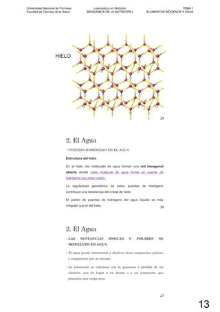HIELO
25
2. El Agua
• PUENTES HIDRÓGENO EN EL AGUA
Estructura del hielo.
En el hielo, las moléculas de agua forman una red hexagonal
abierta donde cada molécula de agua forma un puente de
hidrógeno con otras cuatro.
La regularidad geométrica de estos puentes de hidrógeno
contribuye a la resistencia del cristal de hielo.
El patrón de puentes de hidrógeno del agua líquida es más
irregular que el del hielo.. 26
2. El Agua
• LAS SUSTANCIAS IÓNICAS Y POLARES SE
DISUELVEN EN AGUA
• El agua puede interactuar y disolver otros compuestos polares
y compuestos que se ionizan.
• La ionización se relaciona con la ganancia o pérdida de un
electrón, que da lugar a un átomo o a un compuesto que
presenta una carga neta.
27
Universidad Nacional de Formosa
Facultad de Ciencias de la Salud
Licenciatura en Nutrición
BIOQUÍMICA DE LA NUTRICIÓN I
TEMA 1
ELEMENTOS BIÓGENOS Y AGUA
13
 
