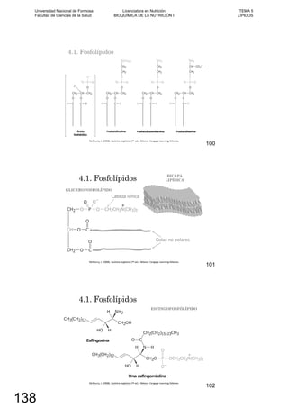 4.1. Fosfolípidos
100
4.1. Fosfolípidos BICAPA
LIPÍDICA
GLICEROFOSFOLÍPIDO
101
4.1. Fosfolípidos
ESFINGOFOSFÓLÍPIDO
102
Universidad Nacional de Formosa
Facultad de Ciencias de la Salud
Licenciatura en Nutrición
BIOQUÍMICA DE LA NUTRICIÓN I
TEMA 5
LÍPIDOS
138
 