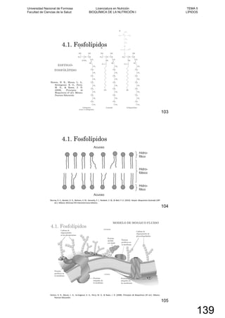 Horton, H. R., Moran, L. A.,
Scrimgeour, K. G., Perry,
M. D., & Rawn, J. D.
(2008). Principios de
Bioquímica (4º ed.). México:
Pearson Educación
4.1. Fosfolípidos
ESFINGO-
FOSFÓLÍPIDO
103
4.1. Fosfolípidos
104
4.1. Fosfolípidos
MODELO DE MOSAICO FLUIDO
105
Universidad Nacional de Formosa
Facultad de Ciencias de la Salud
Licenciatura en Nutrición
BIOQUÍMICA DE LA NUTRICIÓN I
TEMA 5
LÍPIDOS
139
 