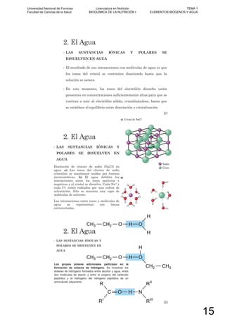 2. El Agua
• LAS SUSTANCIAS IÓNICAS Y POLARES SE
DISUELVEN EN AGUA
• El resultado de sus interacciones con moléculas de agua es que
los iones del cristal se continúen disociando hasta que la
solución se satura.
• En este momento, los iones del electrólito disuelto están
presentes en concentraciones suficientemente altas para que se
vuelvan a unir al electrólito sólido, cristalizándose, hasta que
se establece el equilibrio entre disociación y cristalización.
31
2. El Agua
• LAS SUSTANCIAS IÓNICAS Y
POLARES SE DISUELVEN EN
AGUA
Disolución de cloruro de sodio (NaCl) en
agua. a) Los iones del cloruro de sodio
cristalino se mantienen unidos por fuerzas
electrostáticas. b) El agua debilita las
interacciones entre los iones positivos y
negativos y el cristal se disuelve. Cada Na+ y
cada Cl- están rodeados por una esfera de
solvatación. Sólo se muestra una capa de
moléculas de solvente.
Las interacciones entre iones y moléculas de
agua se representan con líneas
entrecortadas.
2. El Agua
• LAS SUSTANCIAS IÓNICAS Y
POLARES SE DISUELVEN EN
AGUA
Los grupos polares adicionales participan en la
formación de enlaces de hidrógeno. Se muestran los
enlaces de hidrógeno formados entre alcohol y agua, entre
dos moléculas de etanol, y entre el oxígeno del carbonilo
peptídico y el hidrógeno del nitrógeno peptídico de un
aminoácido adyacente.
33
Universidad Nacional de Formosa
Facultad de Ciencias de la Salud
Licenciatura en Nutrición
BIOQUÍMICA DE LA NUTRICIÓN I
TEMA 1
ELEMENTOS BIÓGENOS Y AGUA
15
 
