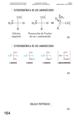 ESTEREOQUÍMICA DE LOS AMINOÁCIDOS
28
ESTEREOQUÍMICA DE LOS AMINOÁCIDOS
29
ENLACE PEPTÍDICO
30
Universidad Nacional de Formosa
Facultad de Ciencias de la Salud
Licenciatura en Nutrición
BIOQUÍMICA DE LA NUTRICIÓN I
TEMA 6
AMINOÁCIDOS Y PROTEÍNAS
164
 