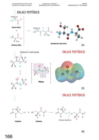 ENLACE PEPTÍDICO
34
ENLACE PEPTÍDICO
35
ENLACE PEPTÍDICO
36
Universidad Nacional de Formosa
Facultad de Ciencias de la Salud
Licenciatura en Nutrición
BIOQUÍMICA DE LA NUTRICIÓN I
TEMA 6
AMINOÁCIDOS Y PROTEÍNAS
166
 